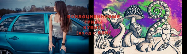 гидра Горняк