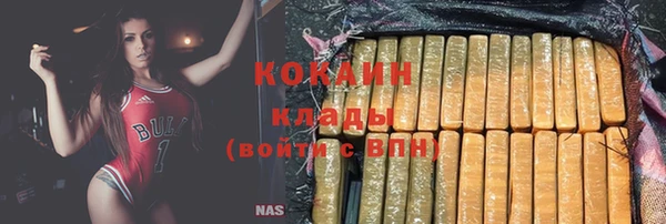 гидра Горняк