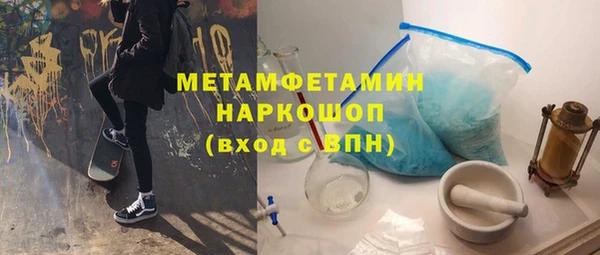 гидра Горняк