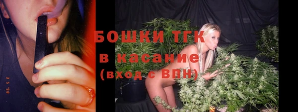 гидра Горно-Алтайск