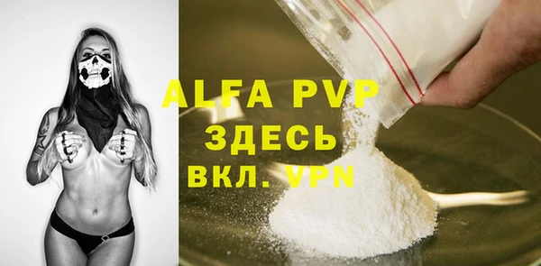 гидра Горняк