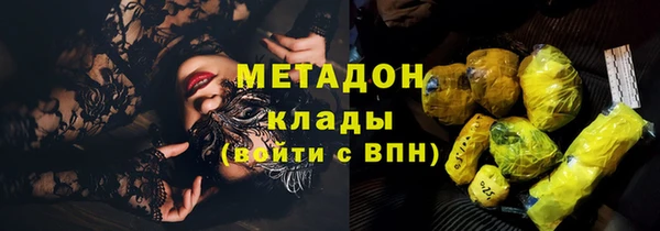 гидра Горняк