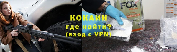 гидра Горняк