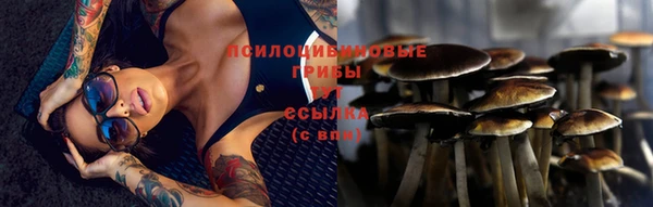 гидра Горняк