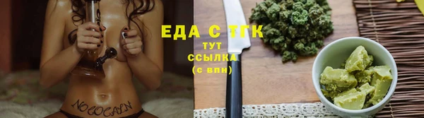 гидра Горняк
