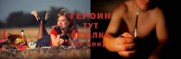 гидра Горняк