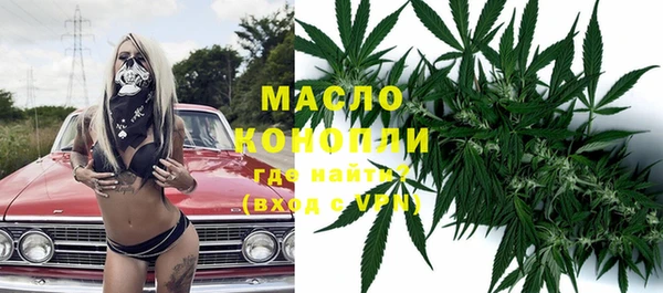 гидра Горно-Алтайск