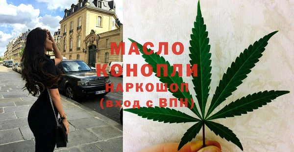 гидра Горняк