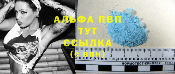 гидра Горно-Алтайск