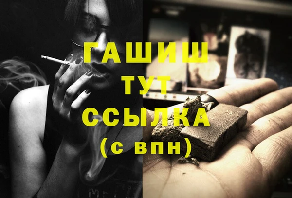 гидра Горняк