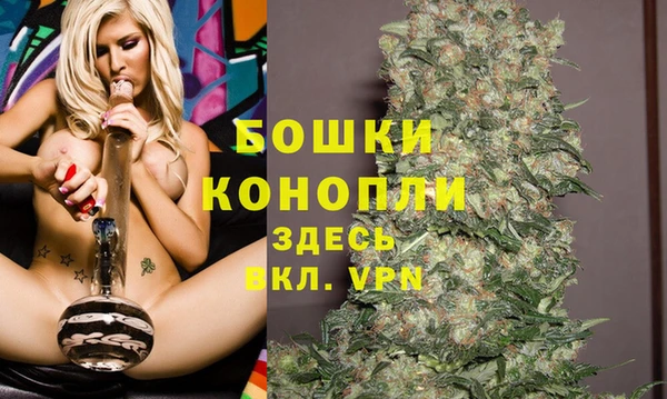 гидра Горняк