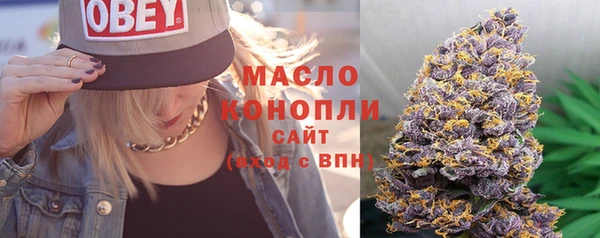 гидра Горно-Алтайск