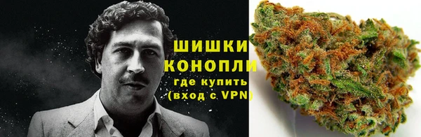 дмт Горнозаводск