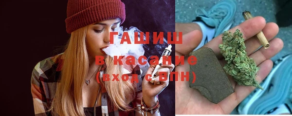 гидра Горняк
